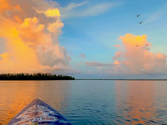 10 Amazing Kayaking & Paddle Boarding Spots in Southwest Florida